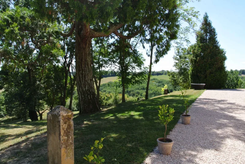 Allée ombragée bordée de grands arbres menant au domaine avec pelouse verte et chemin de gravier