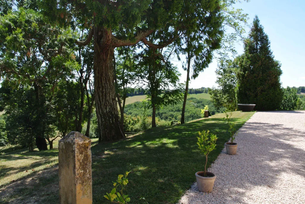 Allée ombragée bordée de grands arbres menant au domaine avec pelouse verte et chemin de gravier