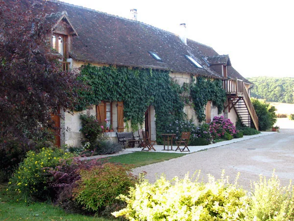 Jardin paysager avec arbustes decoratifs, haies et vegetation variee en plein ete