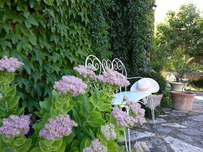 Coin repas extérieur fleuri avec table ronde dressée et hortensias mauves contre le mur en pierre