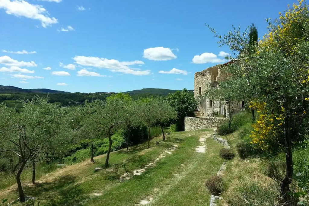 Paysage provençal depuis le domaine avec vignes, collines et ciel bleu lumineux