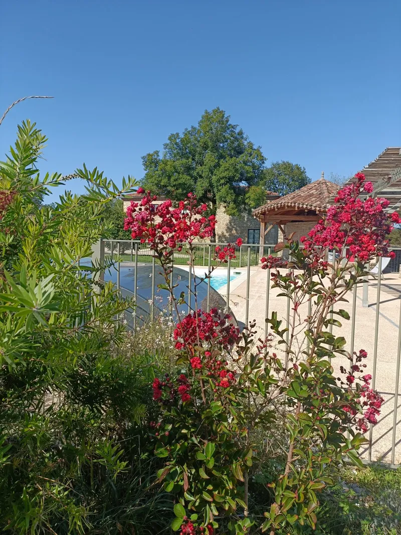 Piscine extérieure avec bouée gonflable rose, parasol rouge et terrasse en gravier clair
