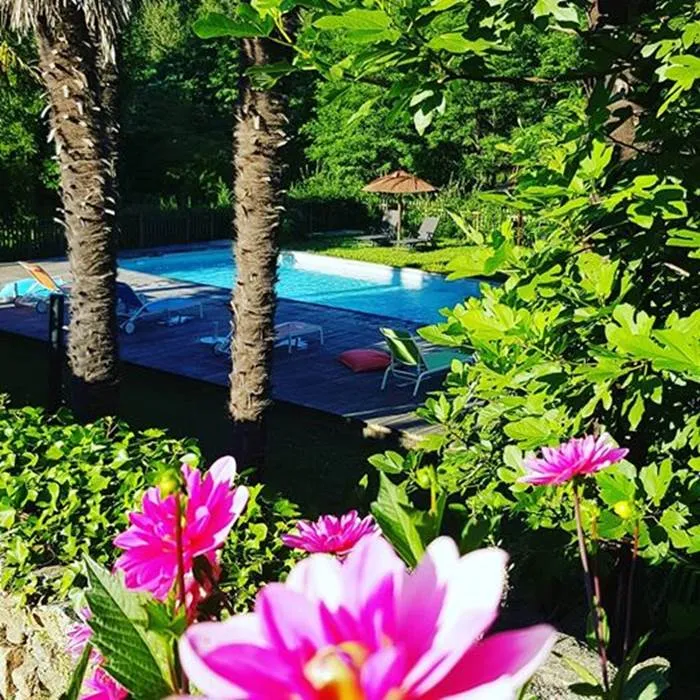 Piscine bordée de palmiers et de fleurs roses, avec transats et parasol en bois autour du bassin