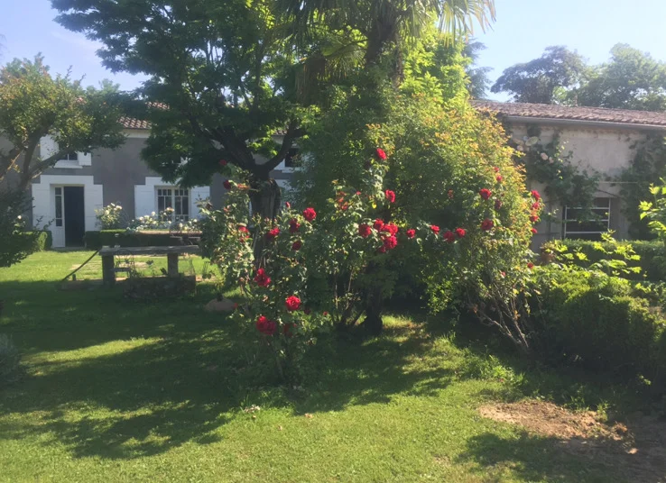 Gîte de groupe Dame Chouette à Pujols — Façade en pierre du domaine entourée d'un rosier grimpant rouge et d'un grand jardin arboré, capacité 22 personnes