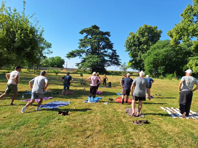 Groupe pratiquant une activité de plein air sur la pelouse du parc, grand cèdre en arrière-plan