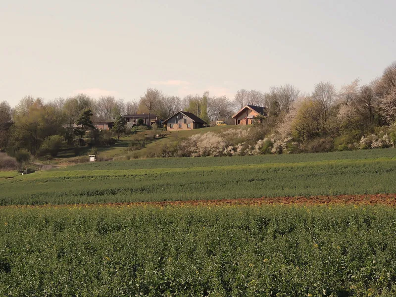Vue d'ensemble du hameau de Soléole sur la colline, chalets en bois entourés d'arbres en fleurs et de champs de colza
