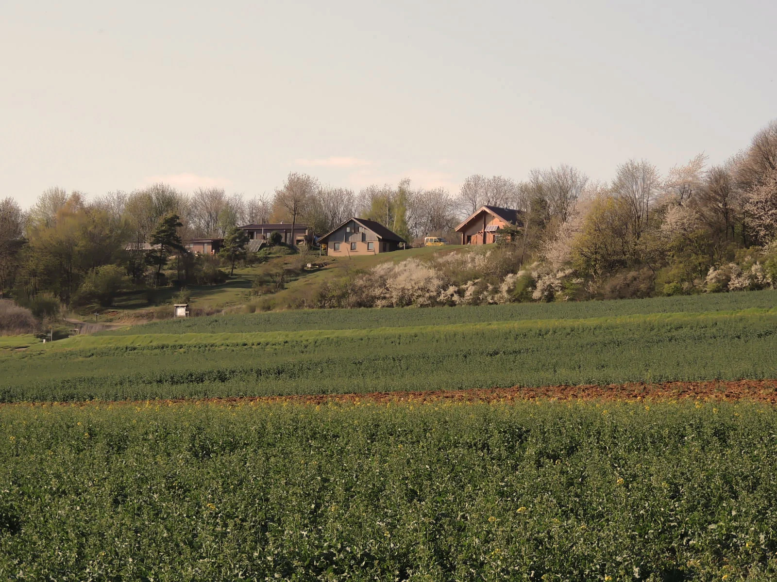 Gîte de groupe Soléole à Landremont — Vue d'ensemble du hameau de Soléole sur la colline, chalets en bois entourés d'arbres en fleurs et de champs de colza, capacité 19 personnes
