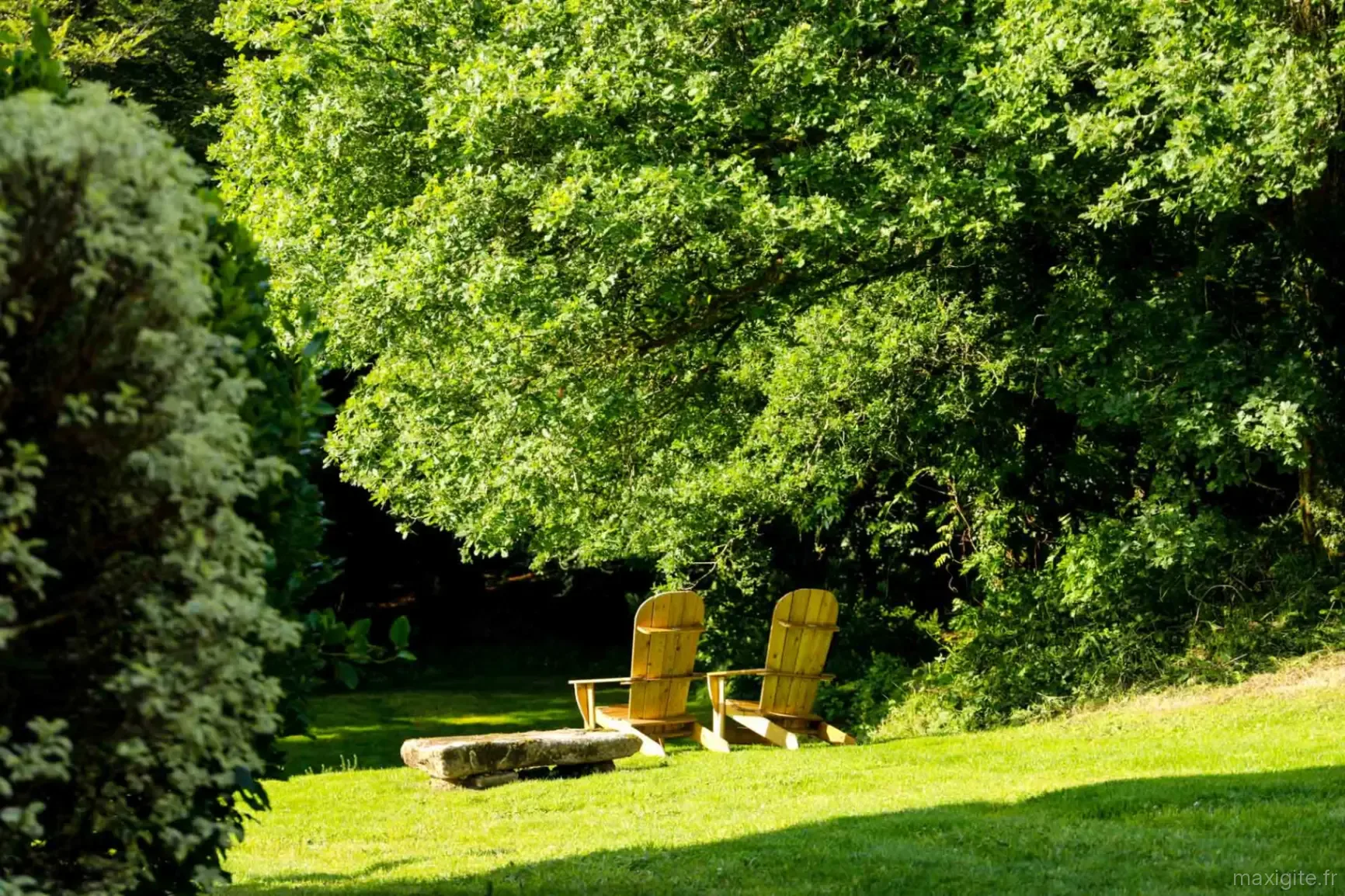 Forêt Totem – Vue du parc