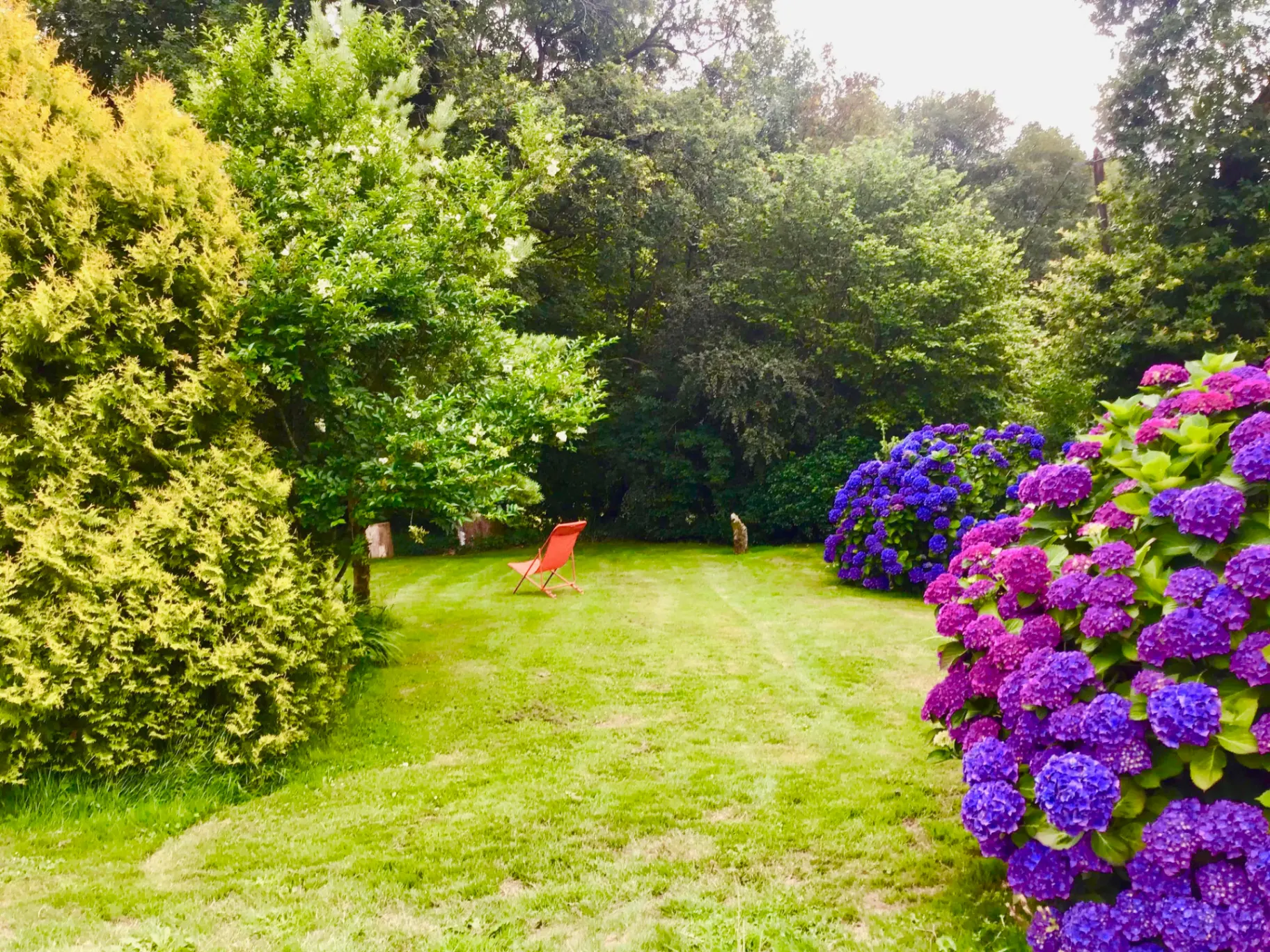 Jardin fleuri avec hortensias bleus et violets, pelouse et chaise longue rouge