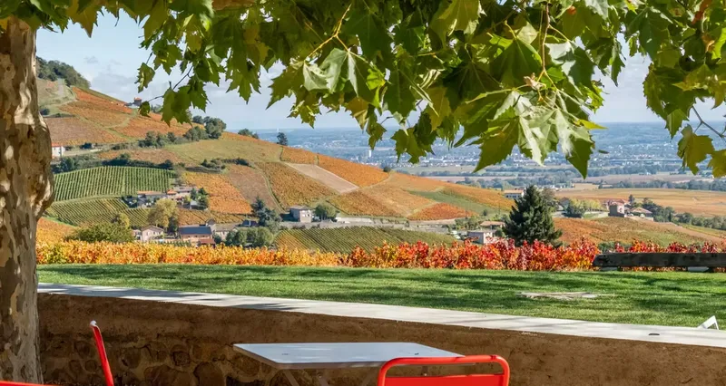 Vue panoramique du domaine de l'Ermitage de Brouilly au milieu des vignes du Beaujolais