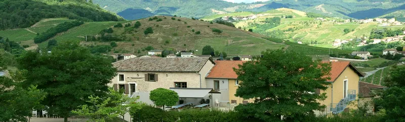 Vue d'ensemble du gîte La Girardière, maison de caractère de plain-pied au cœur des vignes