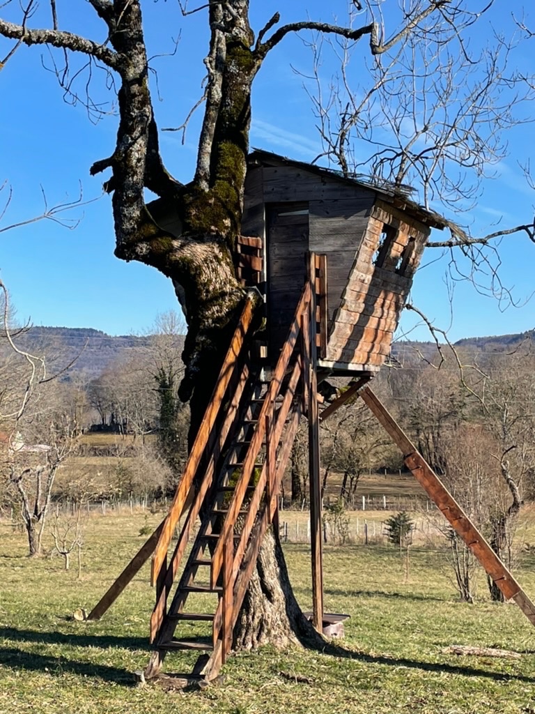 Grand jardin avec cabane