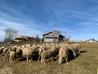 Photo de La Ferme au Chapeau Vert